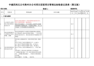 中建项目达标检查表
