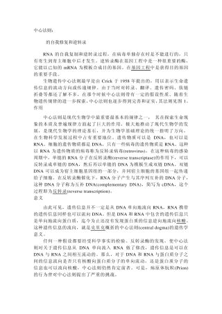 中心法则MicrosoftWord文档