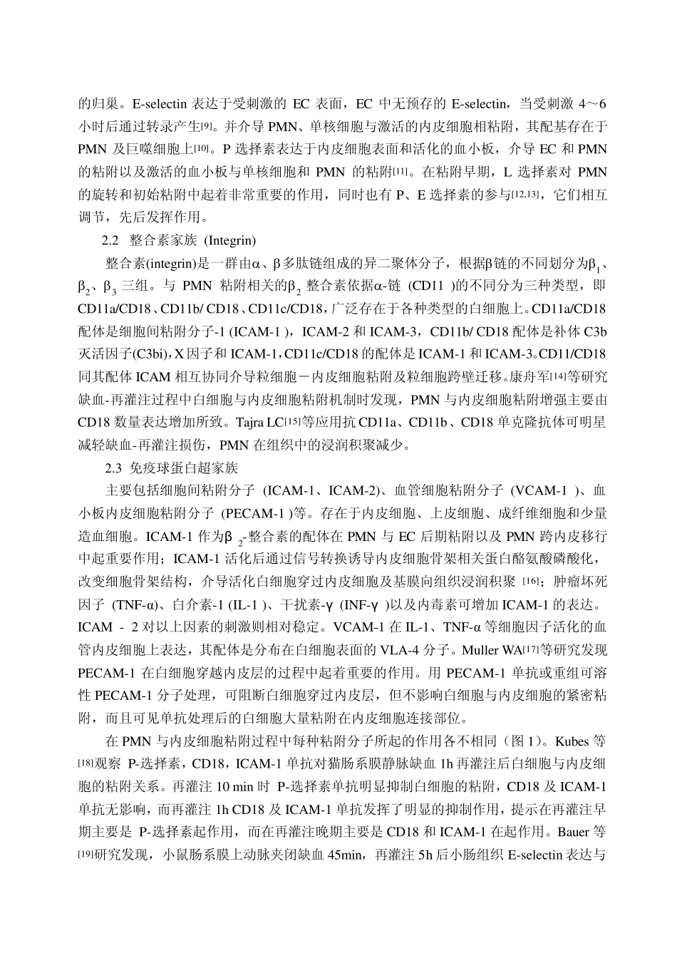 中性粒细胞介导肠道缺血再灌注损伤中的作用_第2页