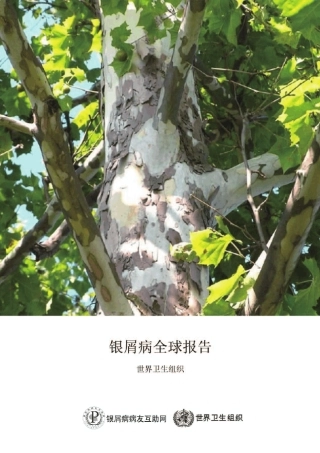 中文版《银屑病全球报告》