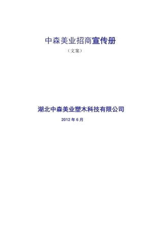 中森美业招商宣传册文案