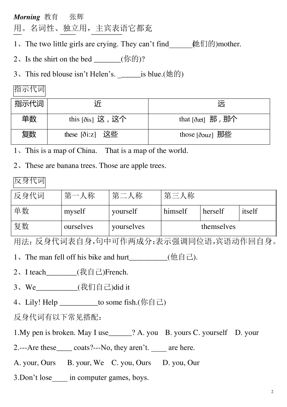 中考代词专项突破_第2页