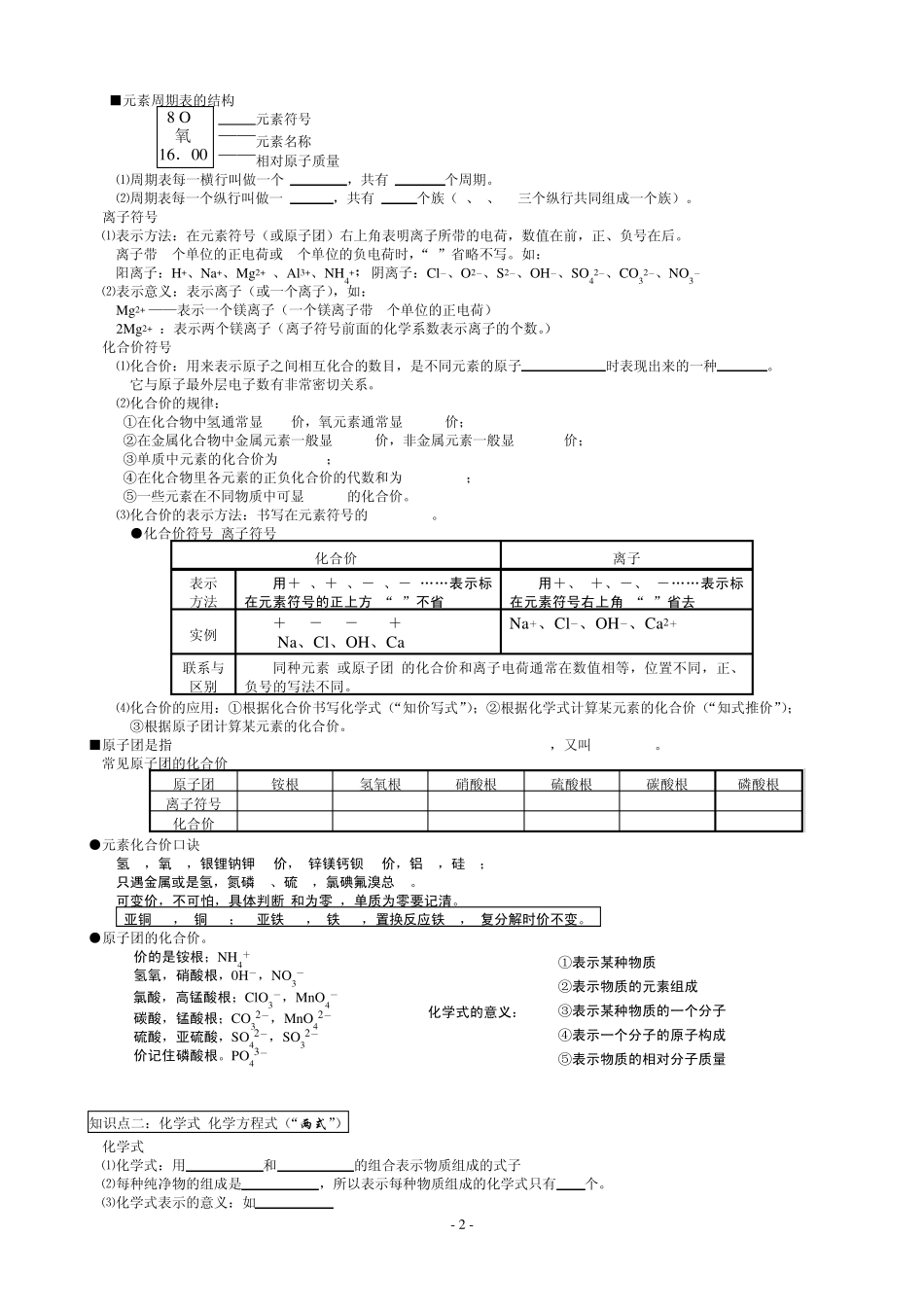 中考化学专题复习：化学用语(2013年版)_第2页