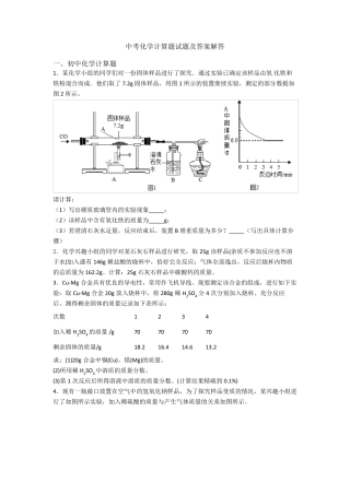 中考化学计算题试题及答案解答