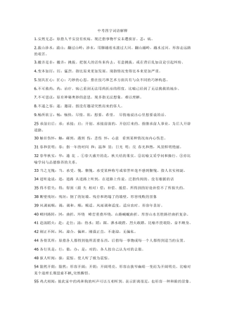 中考四字词语解释