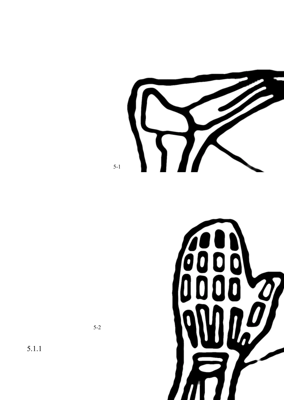 兽类的运动规律_第2页