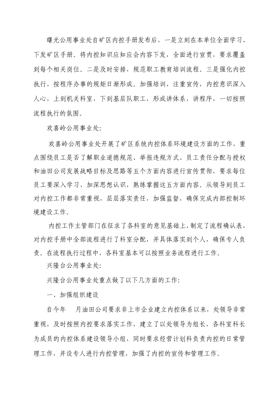 内控试运行阶段简报_第3页