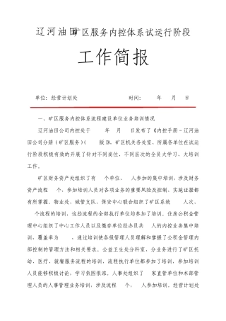 内控试运行阶段简报