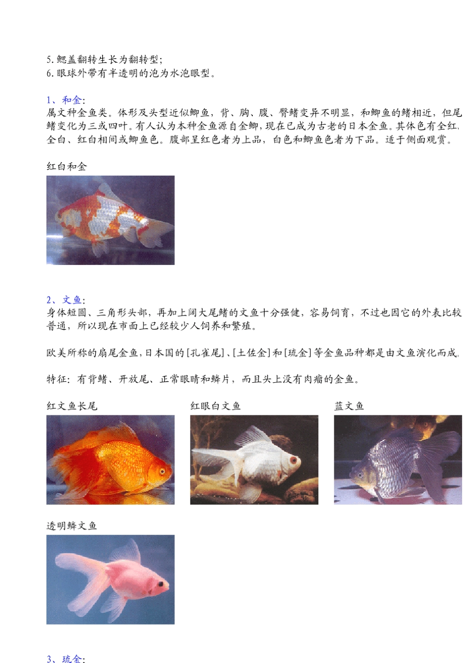 国粹金鱼种类及图片大全_第3页