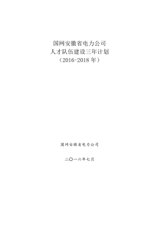 国网安徽省电力公司人才队伍建设三年计划(20162018)