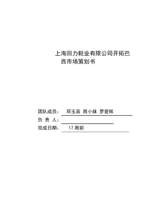 国际市场开拓计划书