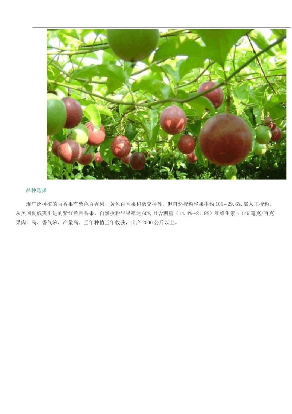 百香果种植技术_第3页