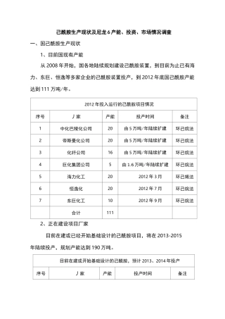 国内己内酰胺及尼龙6生产现状