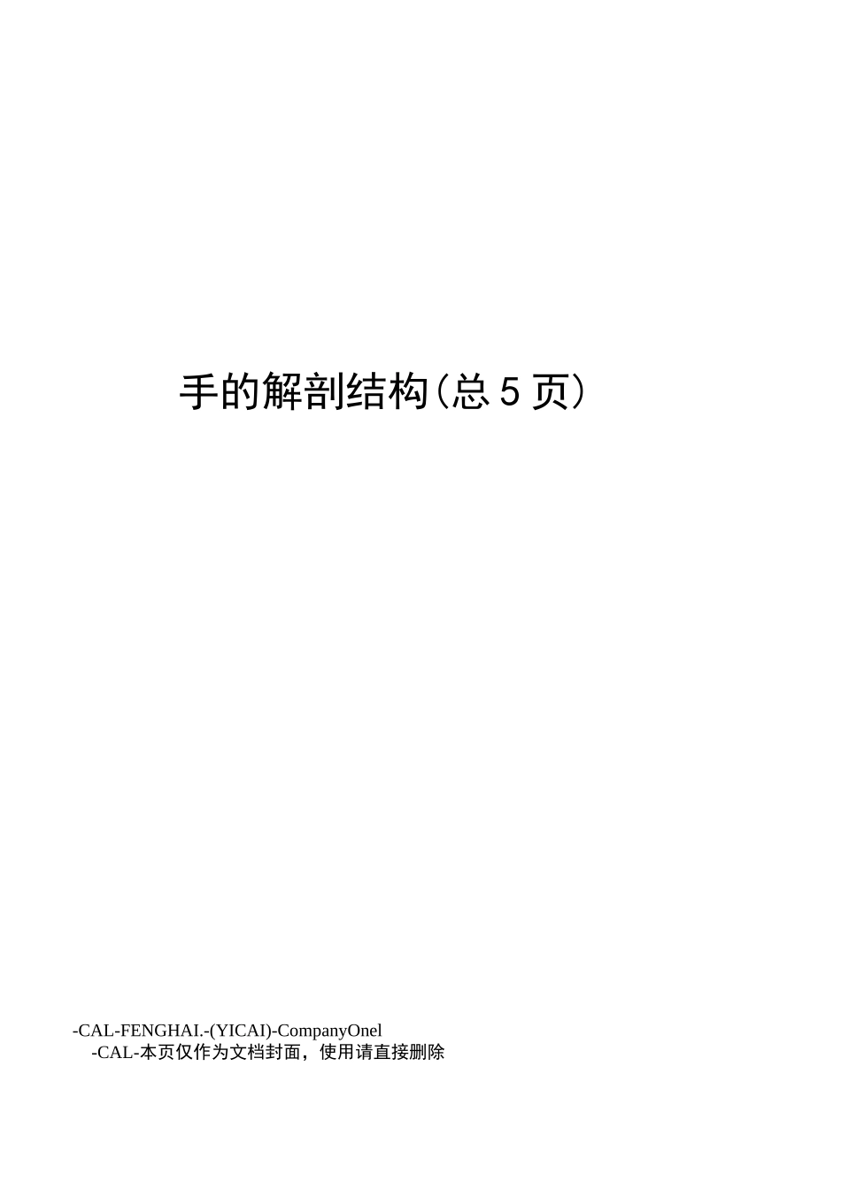 手的解剖结构_第1页