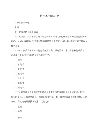 搏击术训练大纲