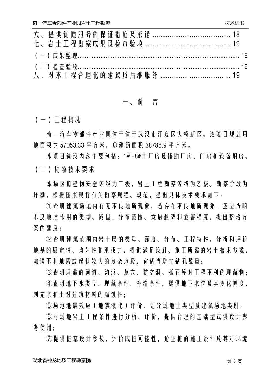 岩土工程勘察技术标_第3页