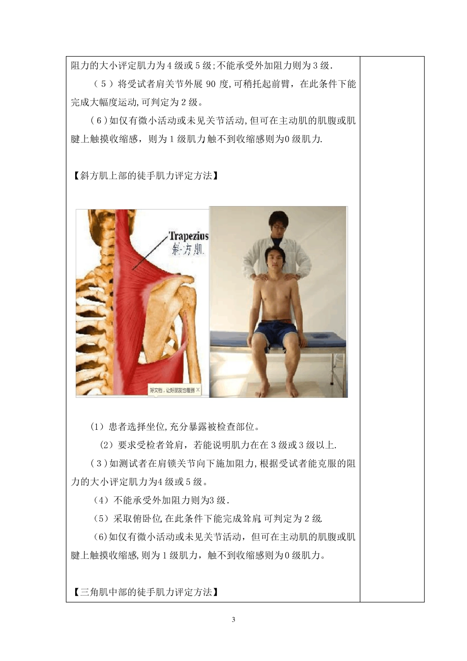 徒手肌力的评定_第3页