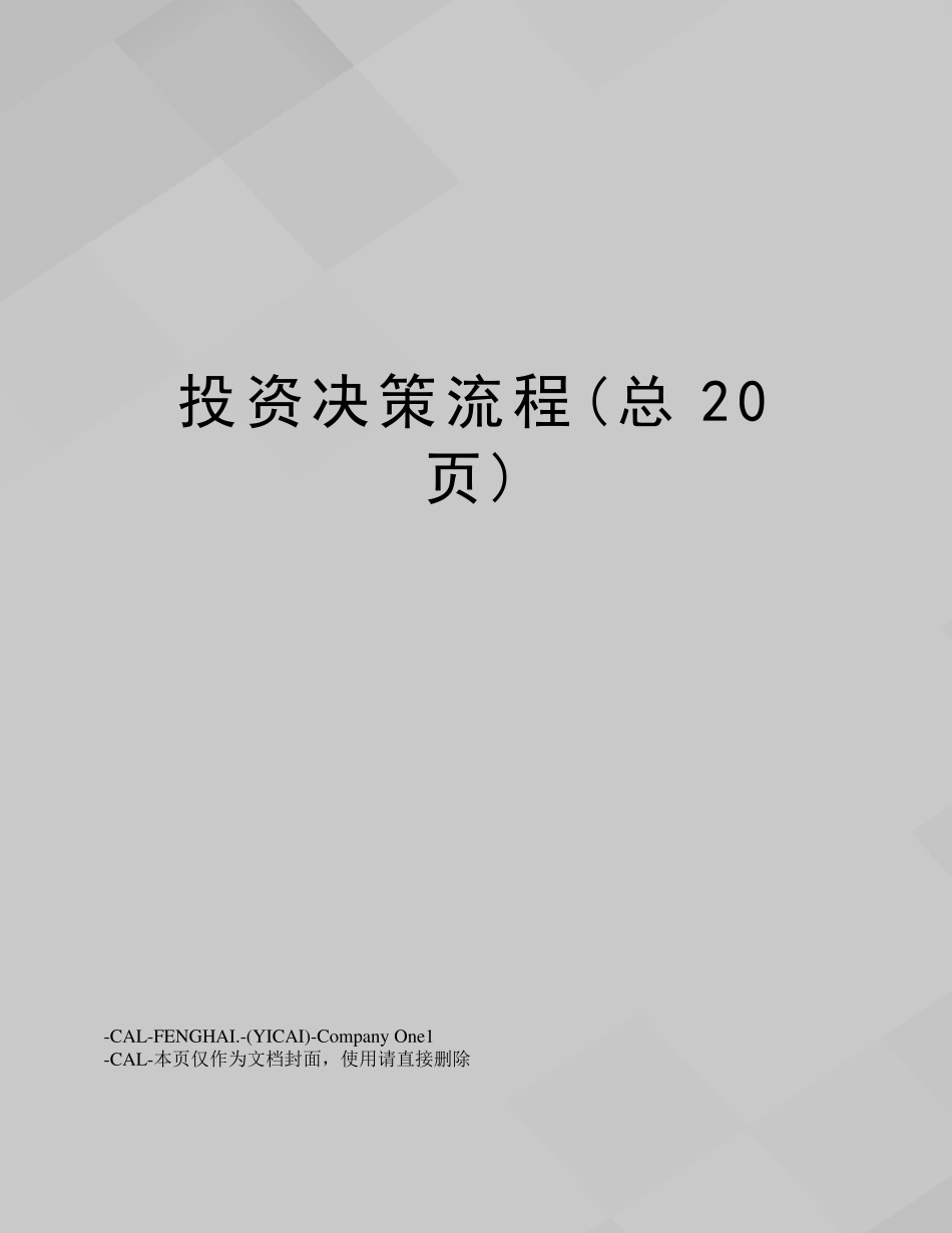 投资决策流程(总20页)_第1页