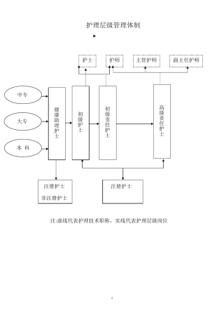 护理管理组织架构