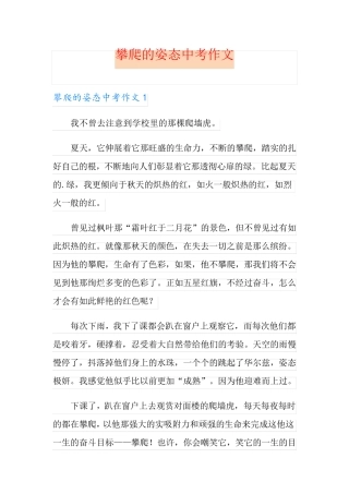 攀爬的姿态中考作文