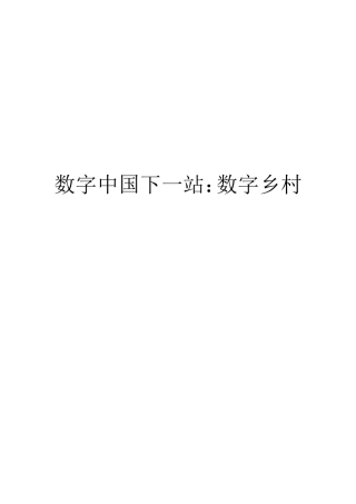 数字中国下一站：数字乡村
