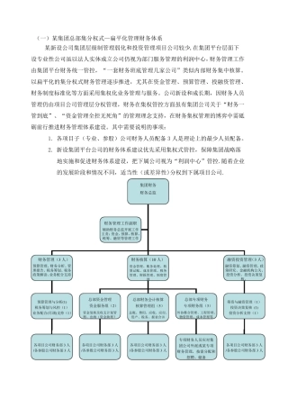 最新财务体系模式及组织架构方案(简版)