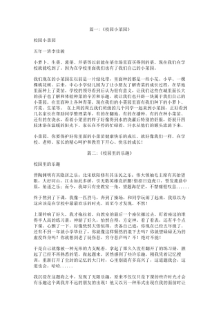 校园里的小菜地种植乐趣作文