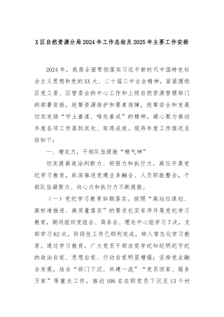 X区自然资源分局2024年工作总结及2025年主要工作安排