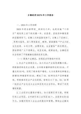 乡镇政府20274年工作报告
