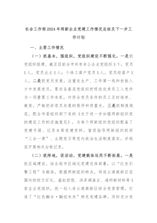 社会工作部2024年两新企业党建工作情况总结及下一步工作计划