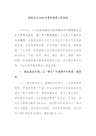 国有企业2024年青年培养工作总结