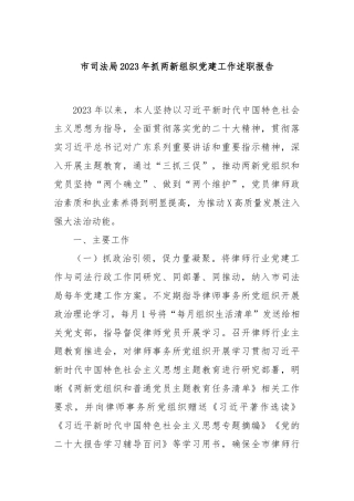市司法局2023年抓两新组织党建工作述职报告
