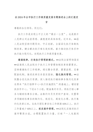 在2024年全市执行工作高质量发展专题推进会上的汇报发言