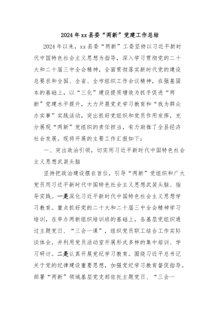 2024年xx县委“两新”党建工作总结