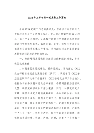 2024年上半年第一党支部工作要点