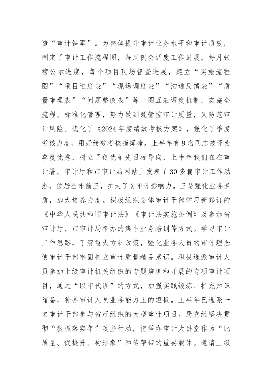 X县审计局2024年度上半年工作总结及下半年工作要点_第2页