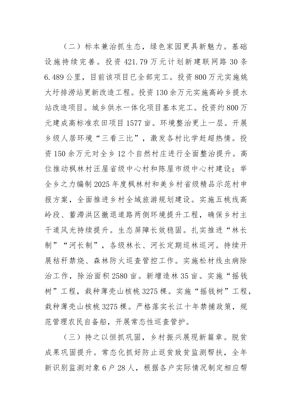 乡镇2024年工作总结和2025年工作谋划_第2页