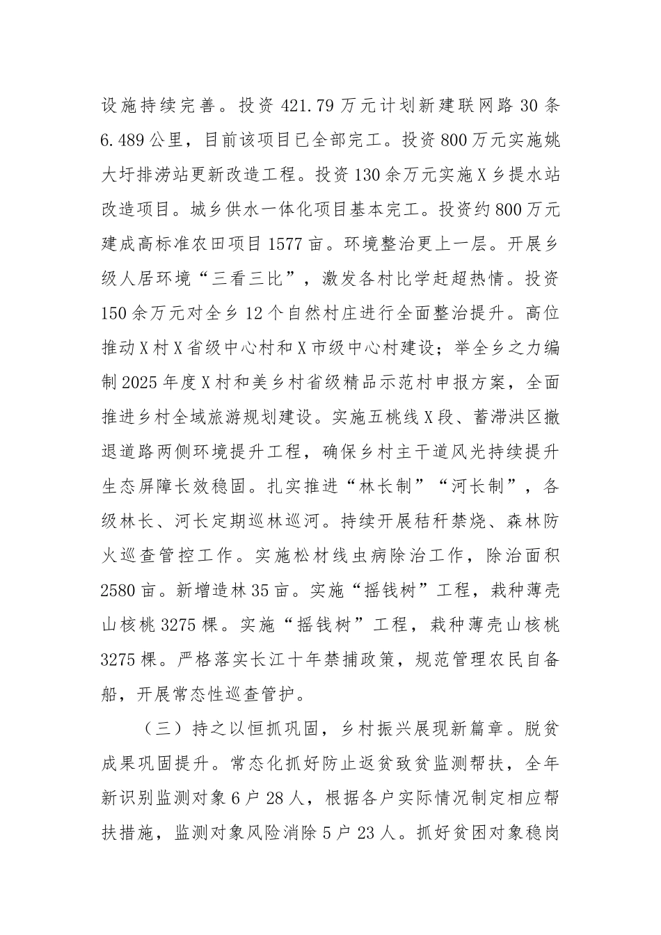 X乡2024年工作总结和2025年工作谋划_第2页