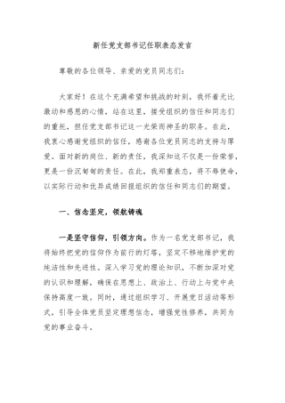 新任党支部书记任职表态发言