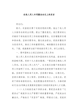 在选人用人专项整治会议上的发言