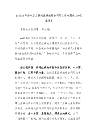 在2024年全市加力推进盐碱地综合利用工作专题会上的汇报发言