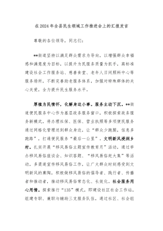 在2024年全县民生领域工作推进会上的汇报发言