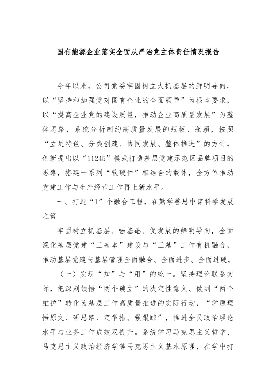 国有能源企业落实全面从严治党主体责任情况报告_第1页