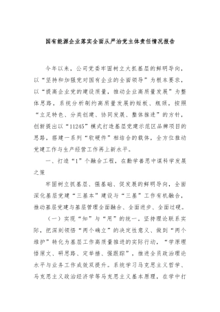 国有能源企业落实全面从严治党主体责任情况报告