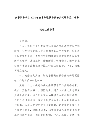 分管副市长在2024年全市加强社会面治安巡逻防控工作推进会上的讲话