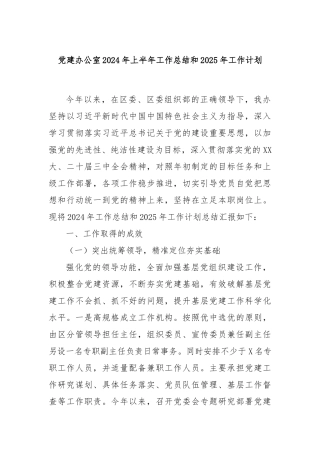 党建办公室2024年上半年工作总结和2025年工作计划
