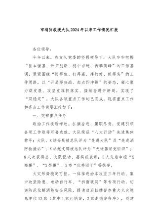 市消防救援大队2024年以来工作情况汇报