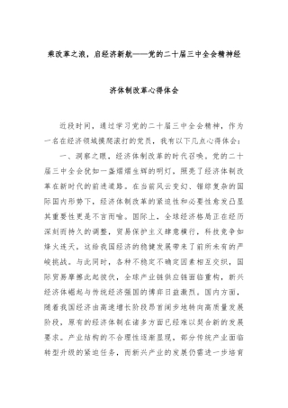 乘改革之浪，启经济新航——党的二十届三中全会精神经济体制改革心得体会