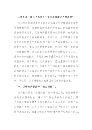 工作交流：红色“啄木鸟”督出项目建设“加速跑”