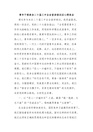 青年干部参加二十届三中全会宣讲培训后心得体会